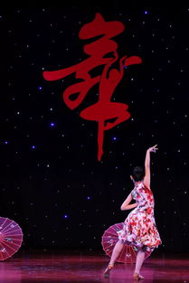 雨帘轻舞，梦中独行：一场指尖流淌的诗意旅程