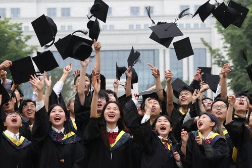 2025年高校毕业生1222万：就业洪峰下的机遇与挑战