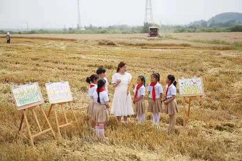 麦田边的课堂：在泥土与知识中寻找成长的力量