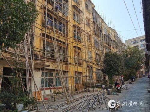 老旧小区改造：2000年前建成的小区迎新生！