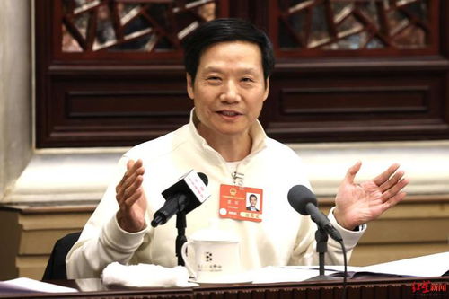 雷军怒怼AI侵权乱象：从‘AI雷军’骂声中看网络治理新方向