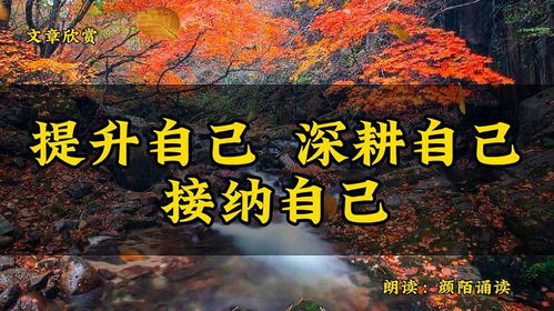 深耕自己：在平凡中创造非凡