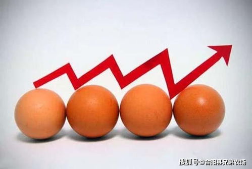 全球蛋价飙升背后：美国“蛋荒”危机与养鸡热潮
