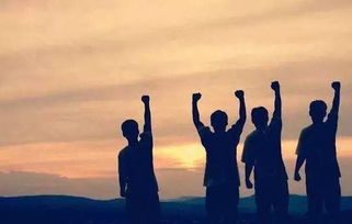 周末一定要积极夺回线下生活：重拾真实世界的美好