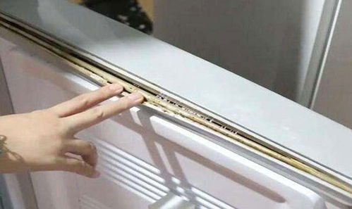 家里放一物，绝对没潮虫！防潮防霉小妙招大揭秘