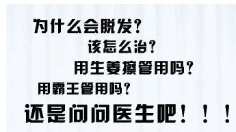 第十批封面故事：逸海归舟与周成功子阳佳乐的传奇旅程