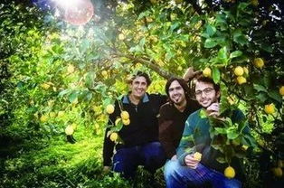 乡村如何吸引并留住年轻人？