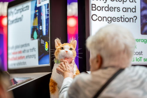 全球千万宠物走失危机，这款“宠物社交手机”或将改变人宠关系