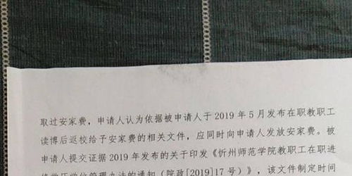 研究生辞职干装修：当事人的回应与心路历程