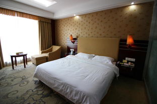 广东之旅（住宿篇）：一次舒适与惊喜的体验