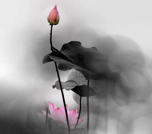 普通人如何用一部手机实现财富自由？