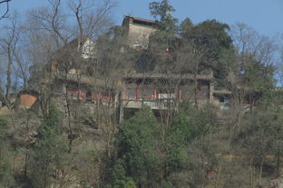 山里有个庙：他的奇妙探险之旅