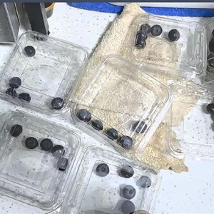 直播间买8盒蓝莓到手每盒只有几颗？真相大揭秘