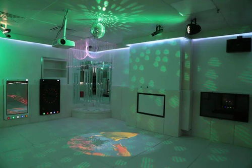 走进儿童多感官训练室：从爬行到感官探索的奇妙旅程