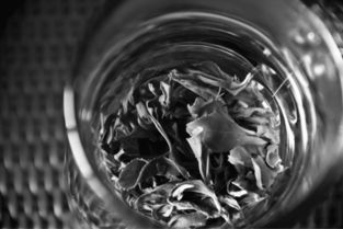 探索杜仲奇迹：从零到一的科研之旅