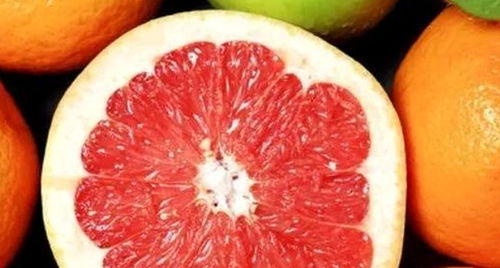 泡柚子酒选多少度白酒最完美？教你轻松制作果酒秘方