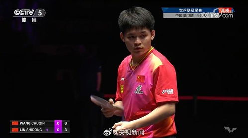 王楚钦林诗栋热身训练：国乒新星的备战日常