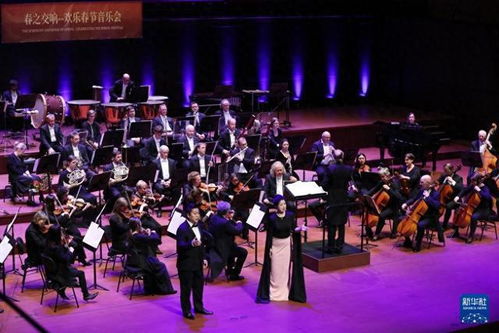 春之交响：我与春天的共鸣