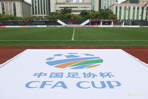 山东泰山队的春天：李小恒、泽卡与刘祺伟的故事