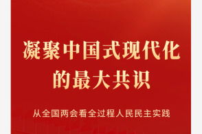 全国两会第三场代表通道：聚焦高质量发展与人民心声