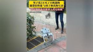 男子花2万买机器狗拉快递，科技生活新体验