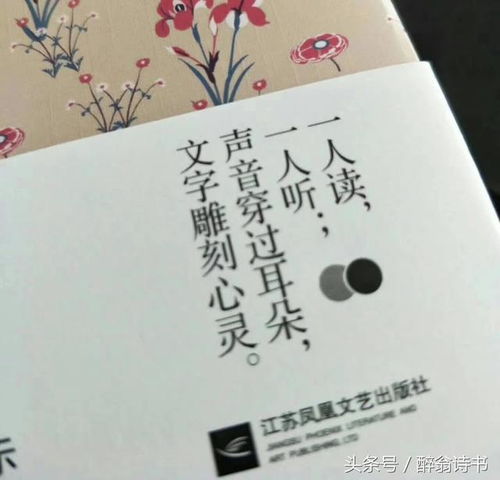 从“碎言”到心灵：一场关于情感与理解的旅程