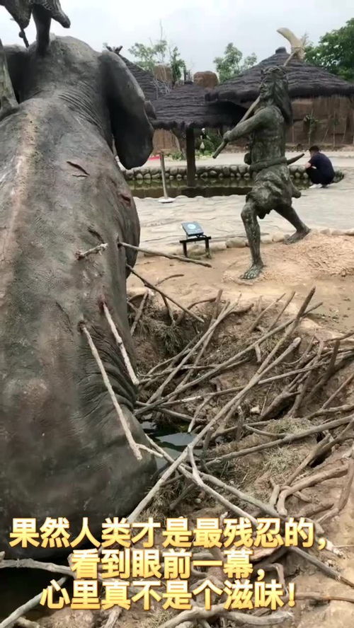 残忍的人类：从原始到文明的反思