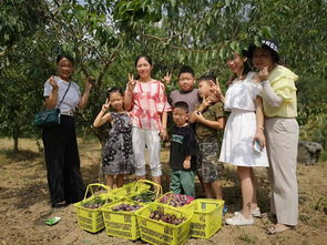 走，摘“青”去——一场与自然的亲密接触