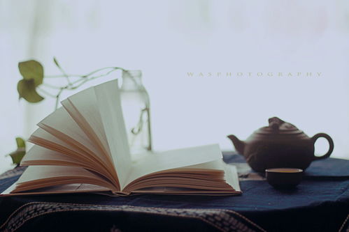 见识决定格局：从平凡到卓越的成长之路