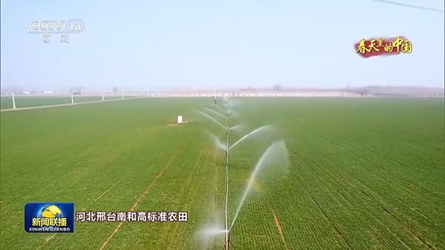 春耕如诗：我与田园诗歌的早春邂逅