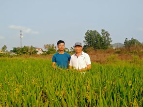 在沃土中拔节孕穗：春耕备耕的希望与实干