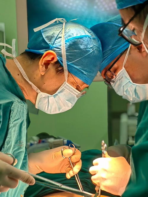 复旦大学“大手术式”改革：文科招生比例降低，未来教育将如何发展？