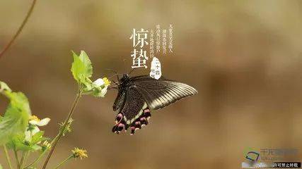 惊蛰时节话成长：与科学院士共筑梦想