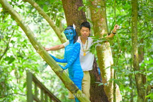 热带雨林探险自驾游：一场未知的奇妙之旅