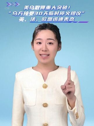 台当局反倾销调查背后的经济博弈与两岸关系