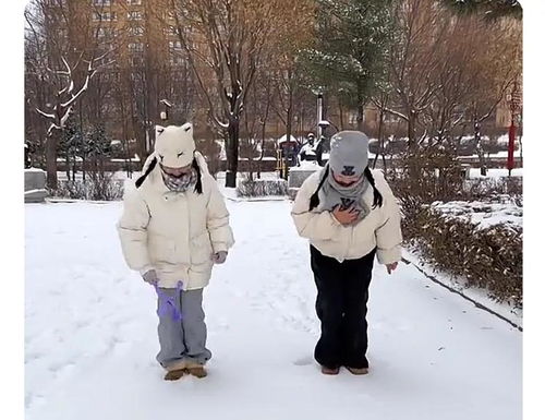 雪休：一场心灵的冬日旅程