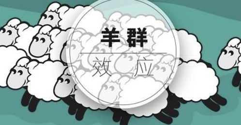 如何快速与他人建立信任？5个高效沟通技巧让你从陌生到合作
