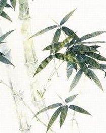 潇湘青竹：一位坚持初心的简书创作者