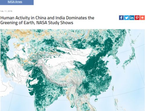 我国成为全球增绿最快最多国家：个人视角下的绿色奇迹