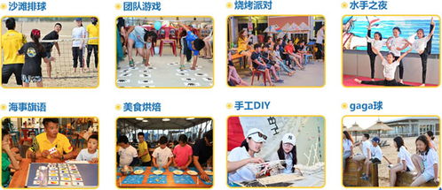 周末的阳光与欢笑：一场难忘的公园野餐之旅