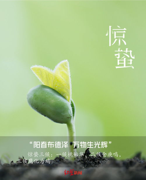 万物复苏：春天里的希望与生机
