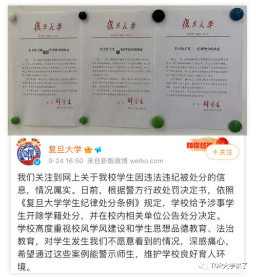 复旦大学文科招生比例降低至20%，背后有何深意？