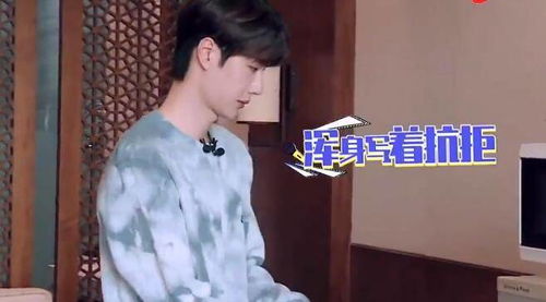 王一博与胡兵的奇妙相遇：一场关于‘胡萝卜’的暖心故事