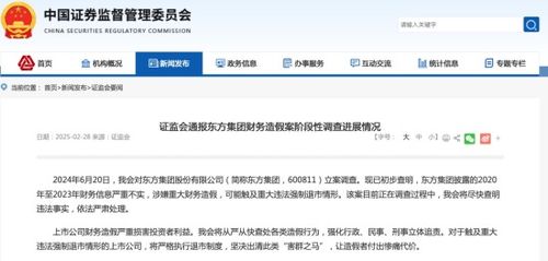 前东北首富张宏伟：从辉煌到证监会头条的跌宕历程