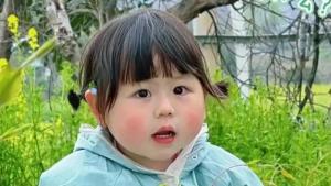 小网红“瑶一瑶小肉包”掉粉超12万背后：流量与争议的交织