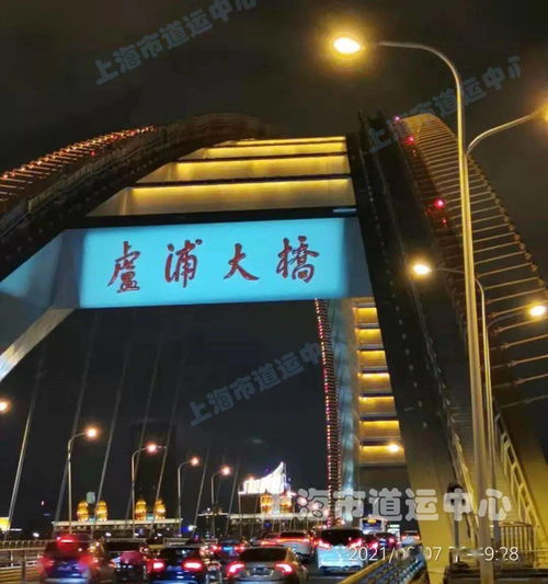 沪上年轻人新宠：Citywalk退潮，挖野菜成春日时尚