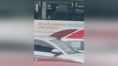 痛心！24岁舞蹈老师被校车追尾辗轧身亡，背后故事令人深思