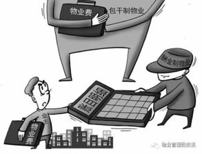 业主用6100个硬币缴物业费：背后的故事与法律解析