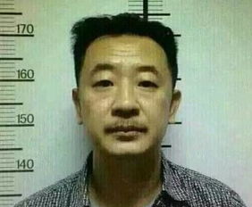 人红是非多：当热度成为双刃剑