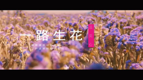 一路生花：杨妞花的寻亲之路与人工智能的思考